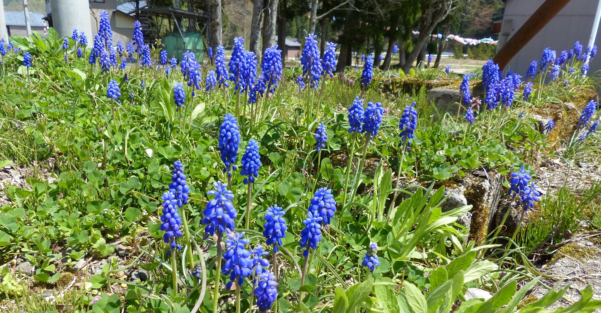 野原建設の取り組み